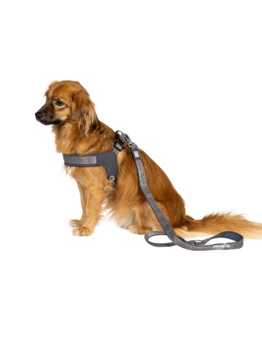 Q-Fit Harness - Matrix 2.0 Stone/S