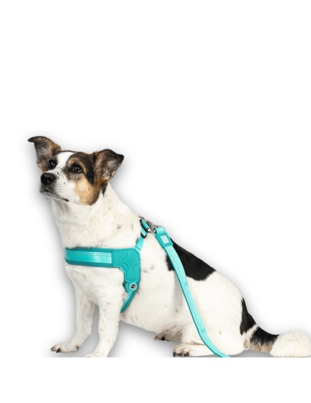 Q-Fit Harness - Matrix 2.0 Turquoise/XS