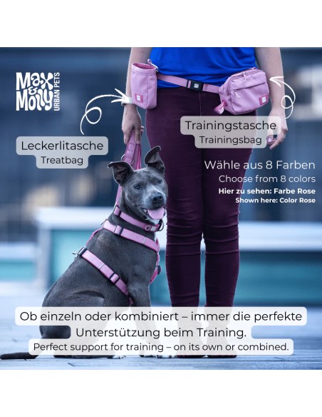 Training Bag - Matrix 2.0 Lavender
