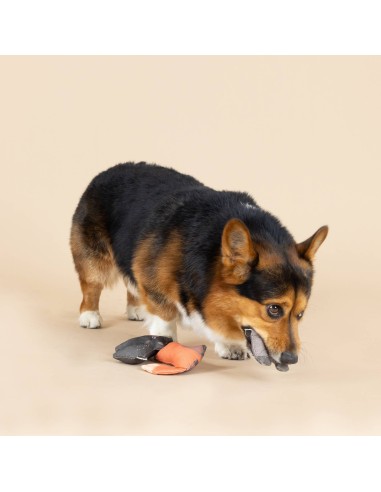 Forest Friends 3pc Mini Canvas Dog Toy Set