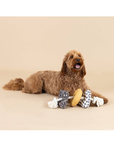 Roped In Canvas Dog Toy - pack of 4
