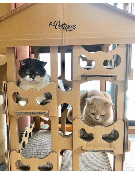 Feline Chateau