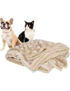 Petique Velvet Blanky - Large 2