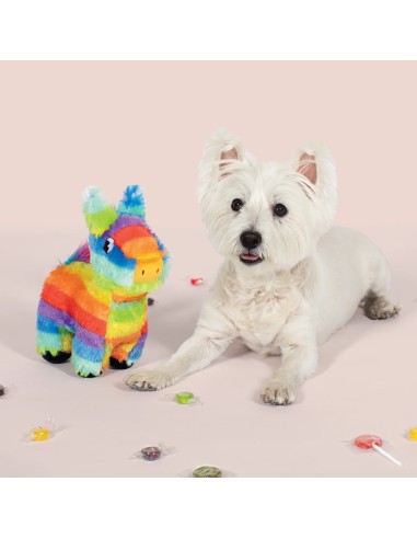 Full O'fun! Dog Toy