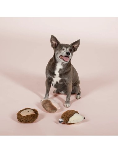 3 Piece Small Dog Toy Set - Hedgehogs