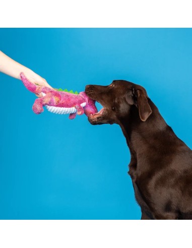 Embrace Your Colors Plush Dog Toy