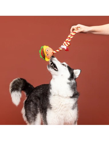 Ur The Bun That I Want Plush Dog Toy
