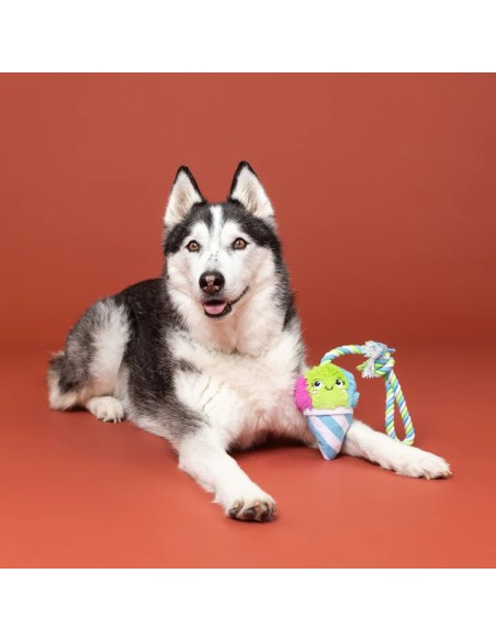 Conefidence Is Yummy Plush Dog Toy