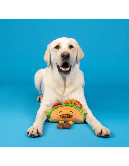 Spicy Sidekick Plush Dog Toy