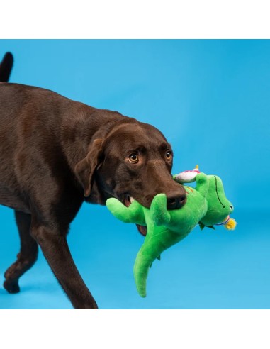 Im How Old Plush Dog Toy