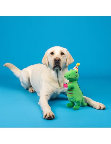 Im How Old Plush Dog Toy