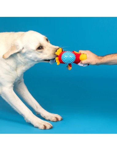 Perching Perfection Plush Dog Toy