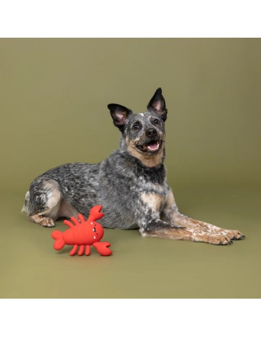 Snappy And Happy Latex Dog Toy