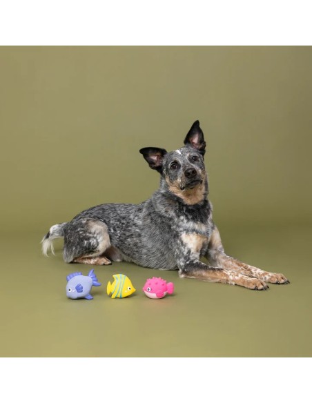 Stay Salty 3Pc Mini Latex Dog Toy