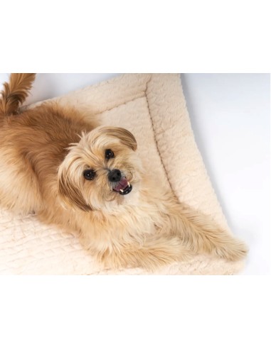 Heaven - Beige - 60x45cm