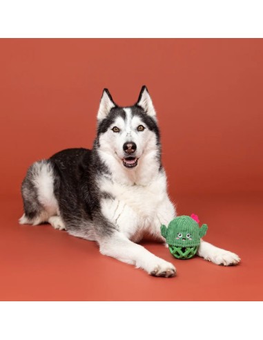 Prickly But Sweet Tpr With Plush Dog Toy