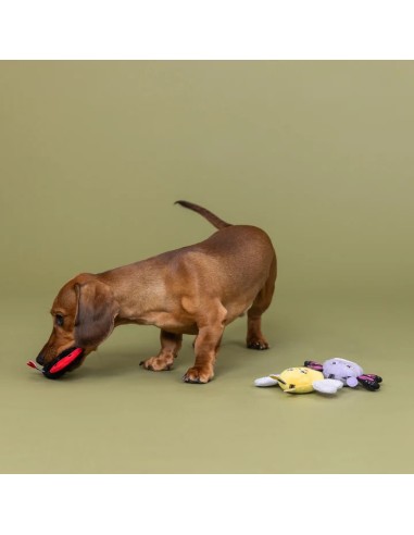 Were Super Fly 3Pcs Small Dog Toy