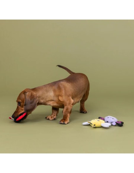 Were Super Fly 3Pcs Small Dog Toy