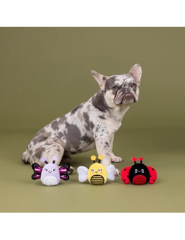 Were Super Fly 3Pcs Small Dog Toy