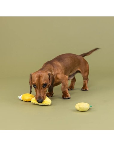 Sour You Doing 3Pcs Small Dog Toy