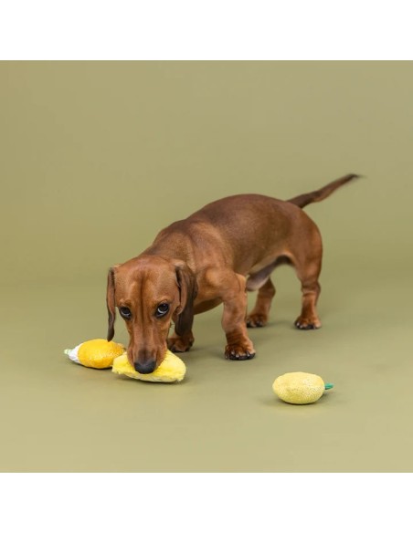 Sour You Doing 3Pcs Small Dog Toy