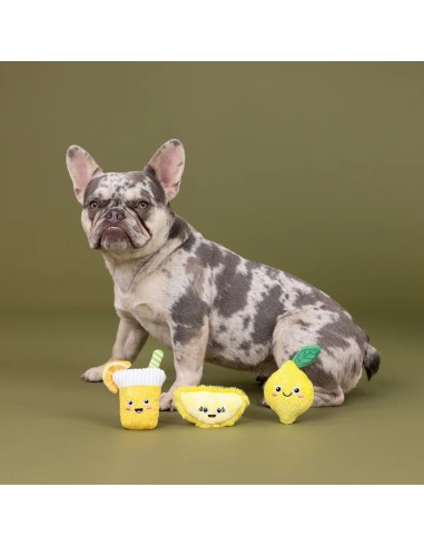 Sour You Doing 3Pcs Small Dog Toy