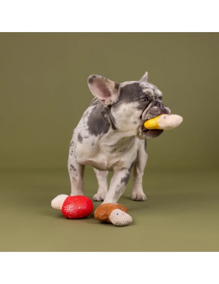 Shrooming 3Pcs Small Dog Toy