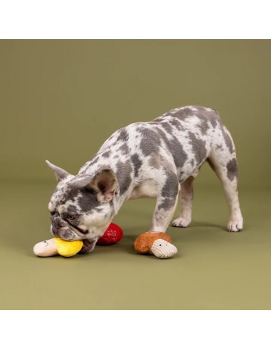 Shrooming 3Pcs Small Dog Toy