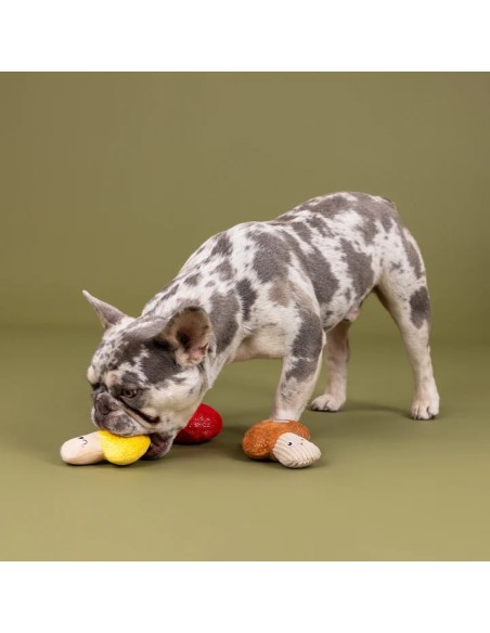 Shrooming 3Pcs Small Dog Toy