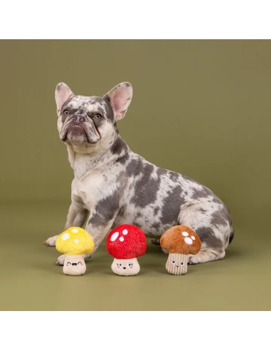 Shrooming 3Pcs Small Dog Toy