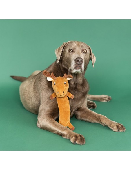 Dont Moose With Me Flat Plush Dog Toy