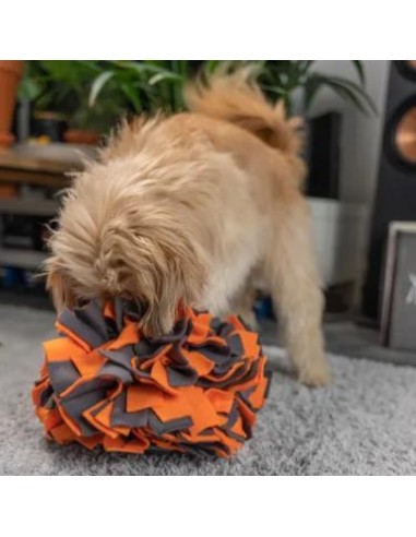 Snuffle Ball - Orange