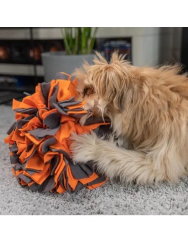 Snuffle Ball - Orange