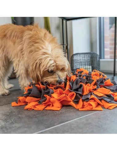 Snuffle Mat - Orange