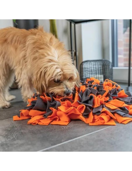 Snuffle Mat - Orange