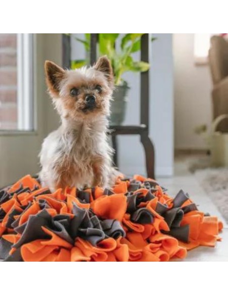 Snuffle Mat - Orange