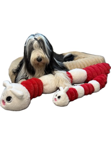 Gor Reef Limited Edition Caterpillar : GorPets - Mommy
