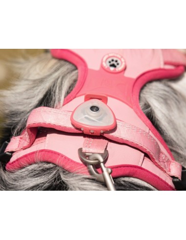 Soundshield - Classic - Rose