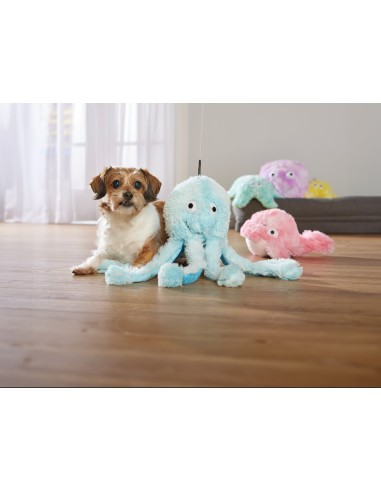 Gor Reef - Octopus - Baby - Blauw