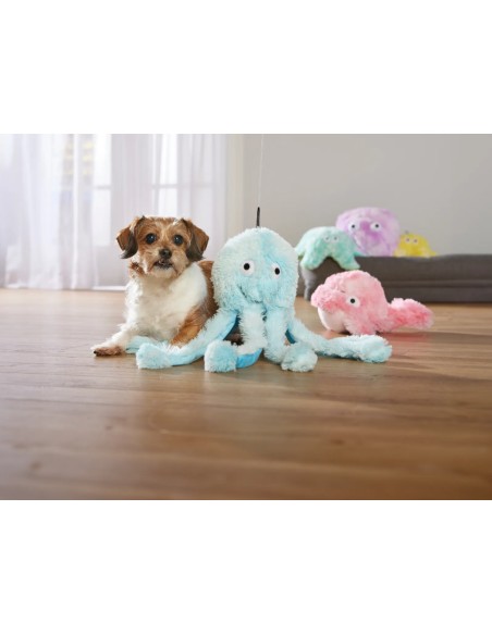 Gor Reef - Octopus - Daddy - Blue
