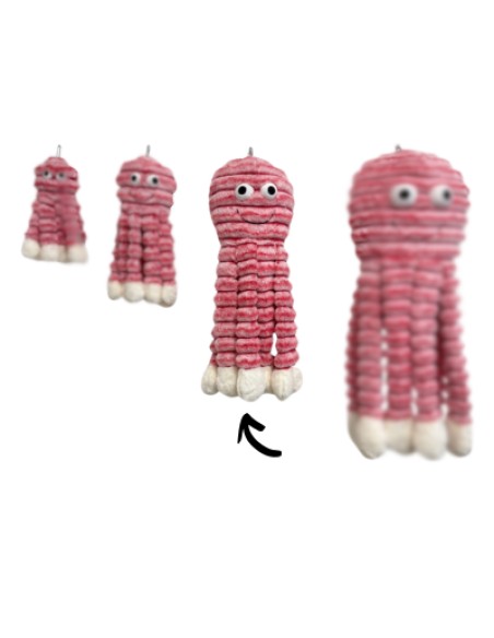 Gor Reef - Holiday Octopus - Daddy
