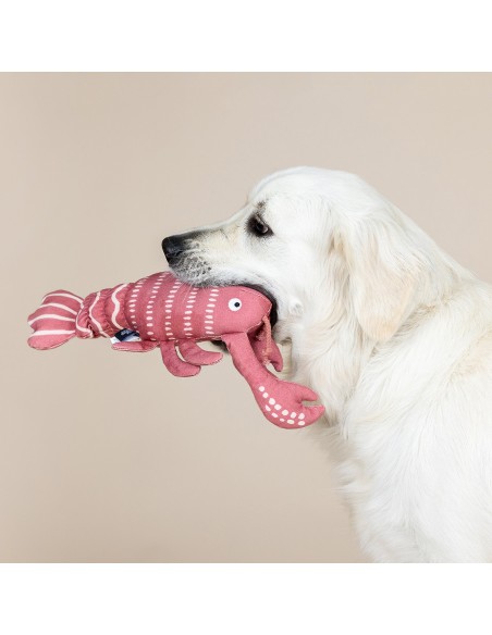 Claw it a Day Canvas Dog Toy