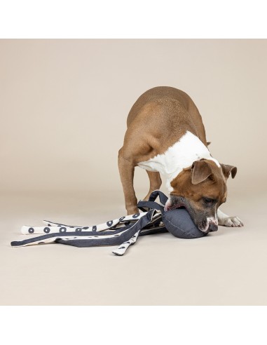 Inking About You Canvas Dog Toy
