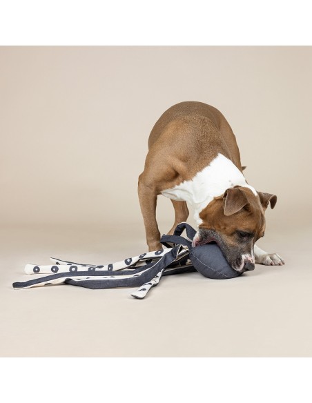 Inking About You Canvas Dog Toy