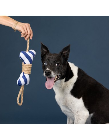 Wagsdale Feeling' Nauti Dog Toy
