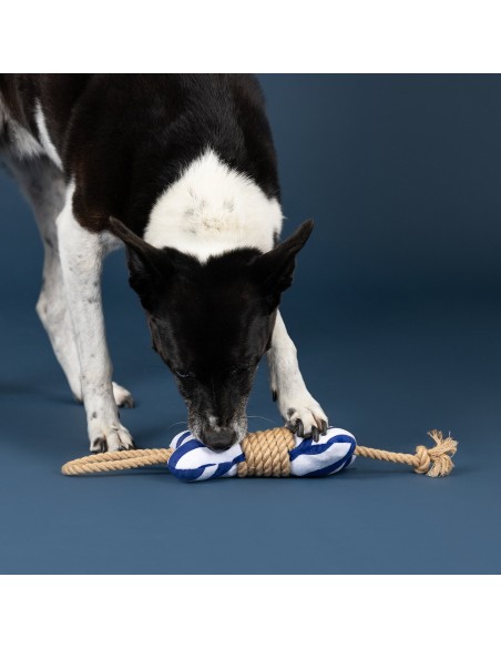 Wagsdale Feeling' Nauti Dog Toy