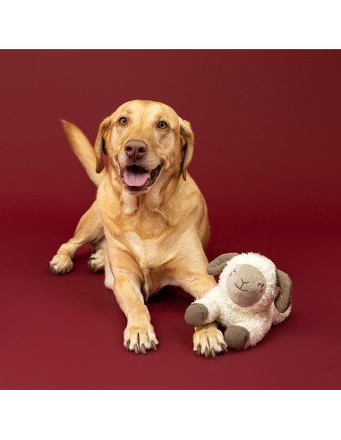 You Herd Me Plush Dog Toy
