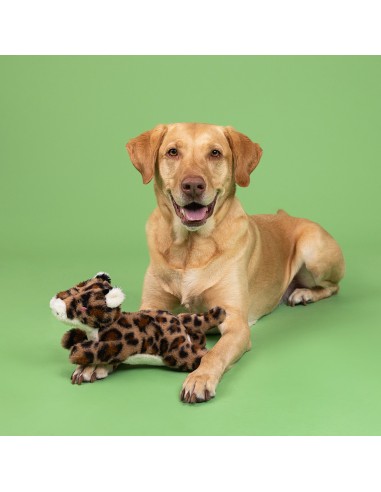 You're Spot On Plush Dog Toy