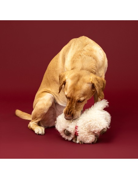 Hair Today, Cuddle Tomorrow Plush Dog Toy