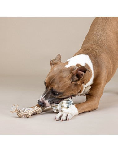 Shape-Shifter Rubber Dog Toy